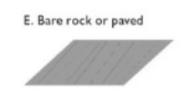 LCZ bare rock or paved