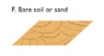 LCZ bare soil or sand