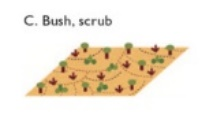 LCZ bush scrub